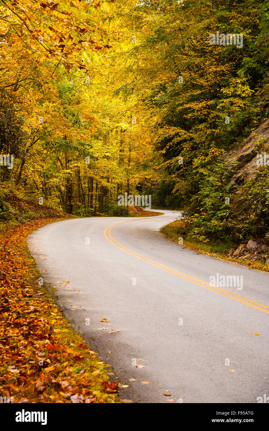 Fall foliage in the Shenandoah Mountains on Skyline Drive Stock Photo