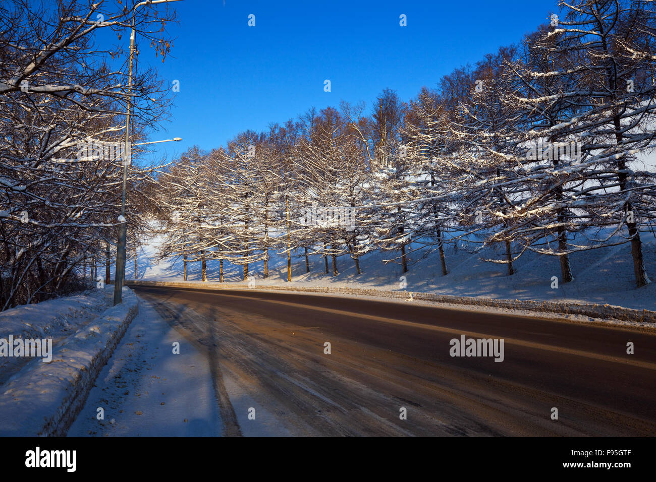 Winter forest asphalt road hi-res stock photography and images - Alamy