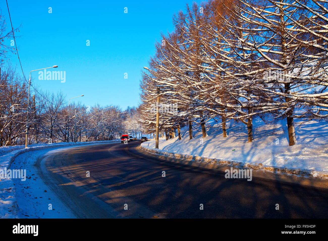 asphalt road through the winter forest Stock Photo - Alamy
