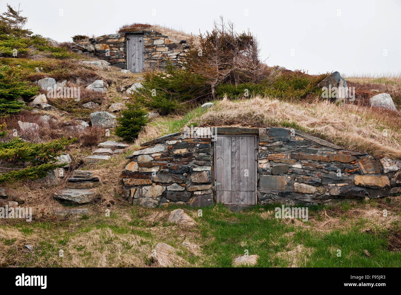 A unique aspect of Elliston, Newfoundland, is the presence of over 100