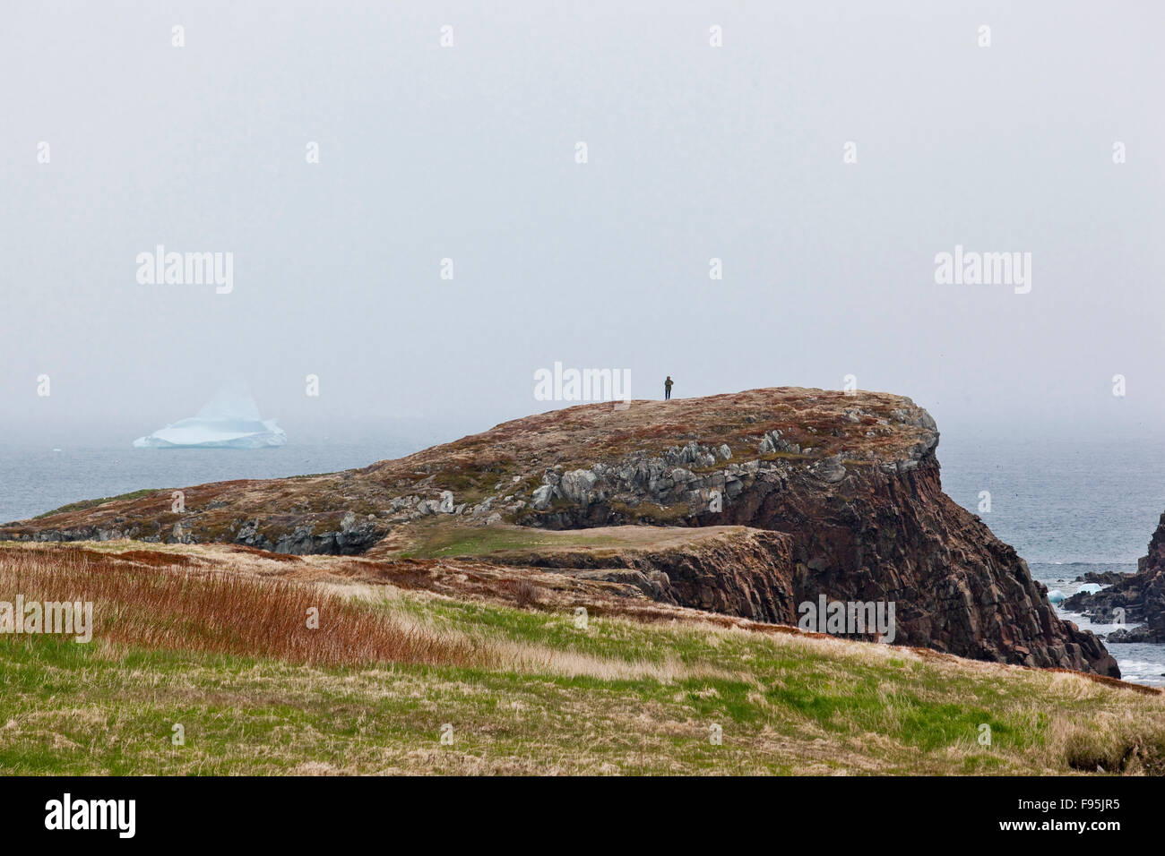 Hiker stopped to view an iceberg that is floating close to fogbound shore in Elliston, Newfoundland Stock Photo