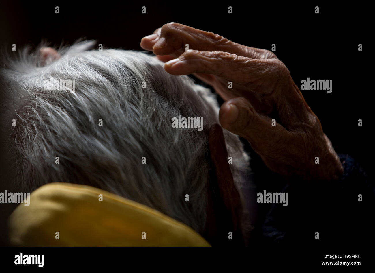 An elderly woman , touches her hair in Our Lady of Guadalupe Home for the Elderly, Mexico City Stock Photo