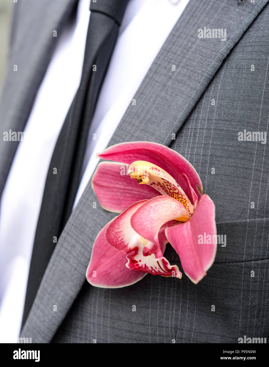 Pink lily used as a wedding lapel flower. Stock Photo