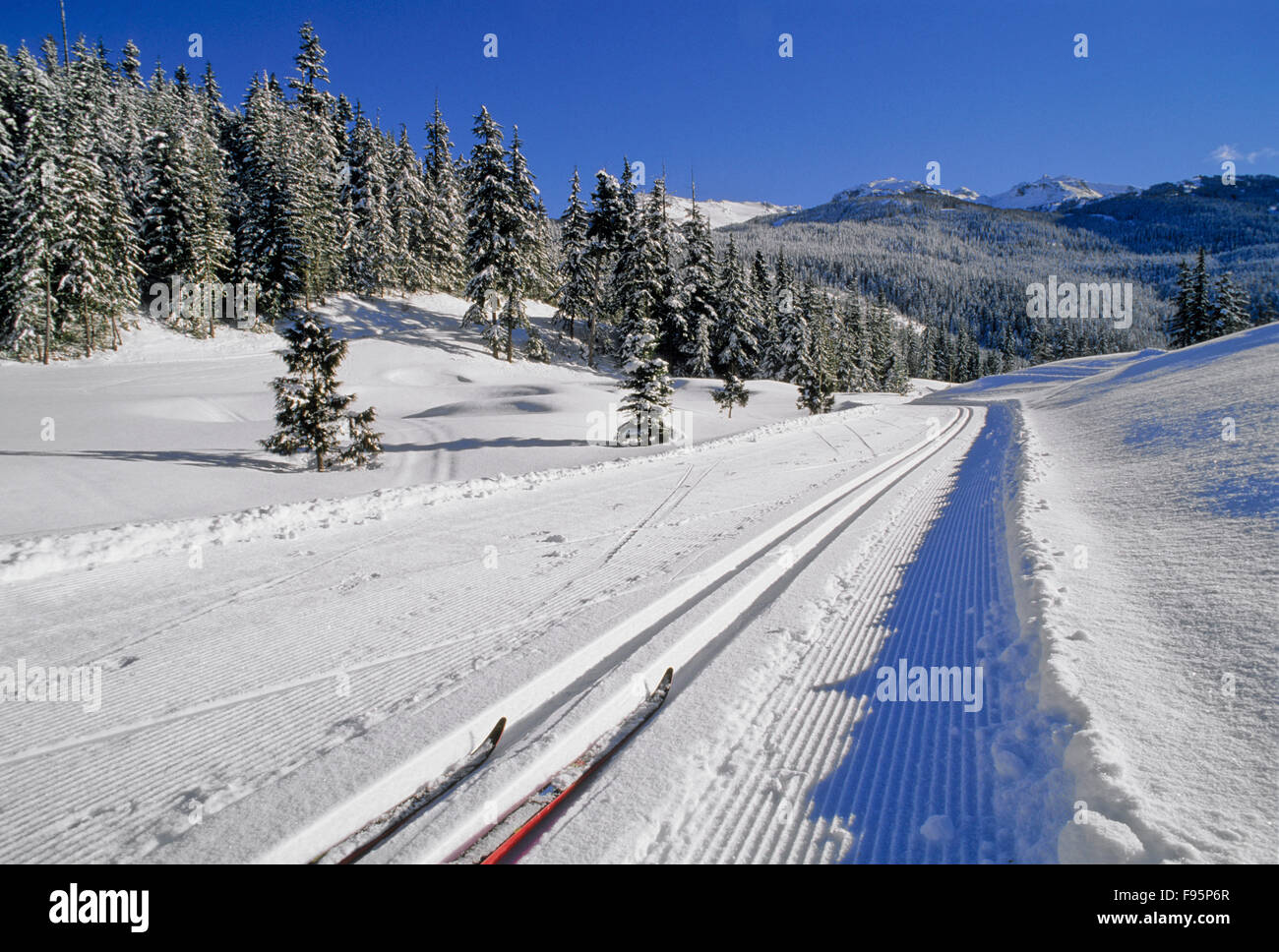 Cross country skiing at Lost Lake, Whistler, BC Stock Photo Alamy