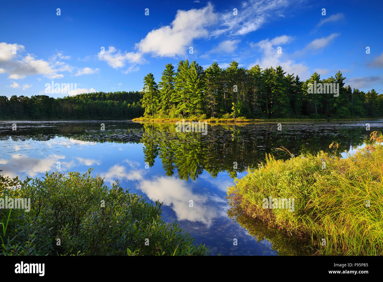 Mew Lake, Algonquin Provincial Park, Ontario, Canada Stock Photo Alamy