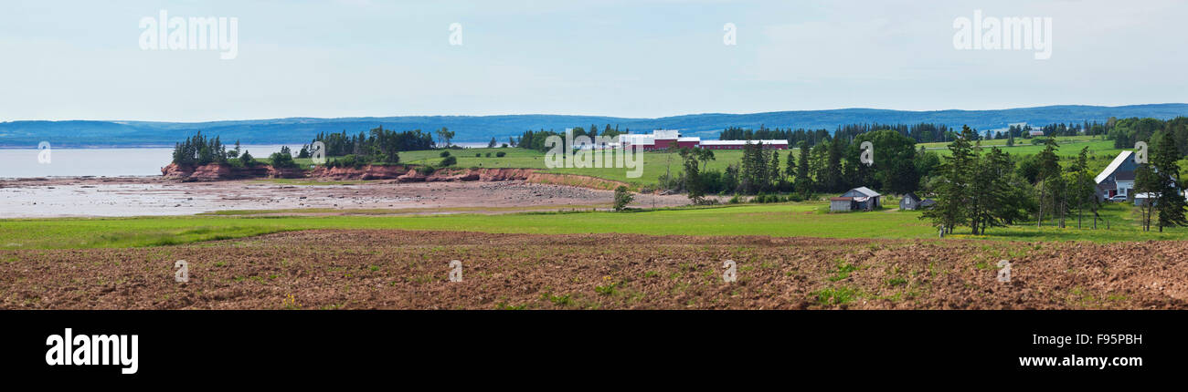 Farm in the community of Densmore Mills, Nova Scotia. In the background is the Bay of Fundy. Stock Photo