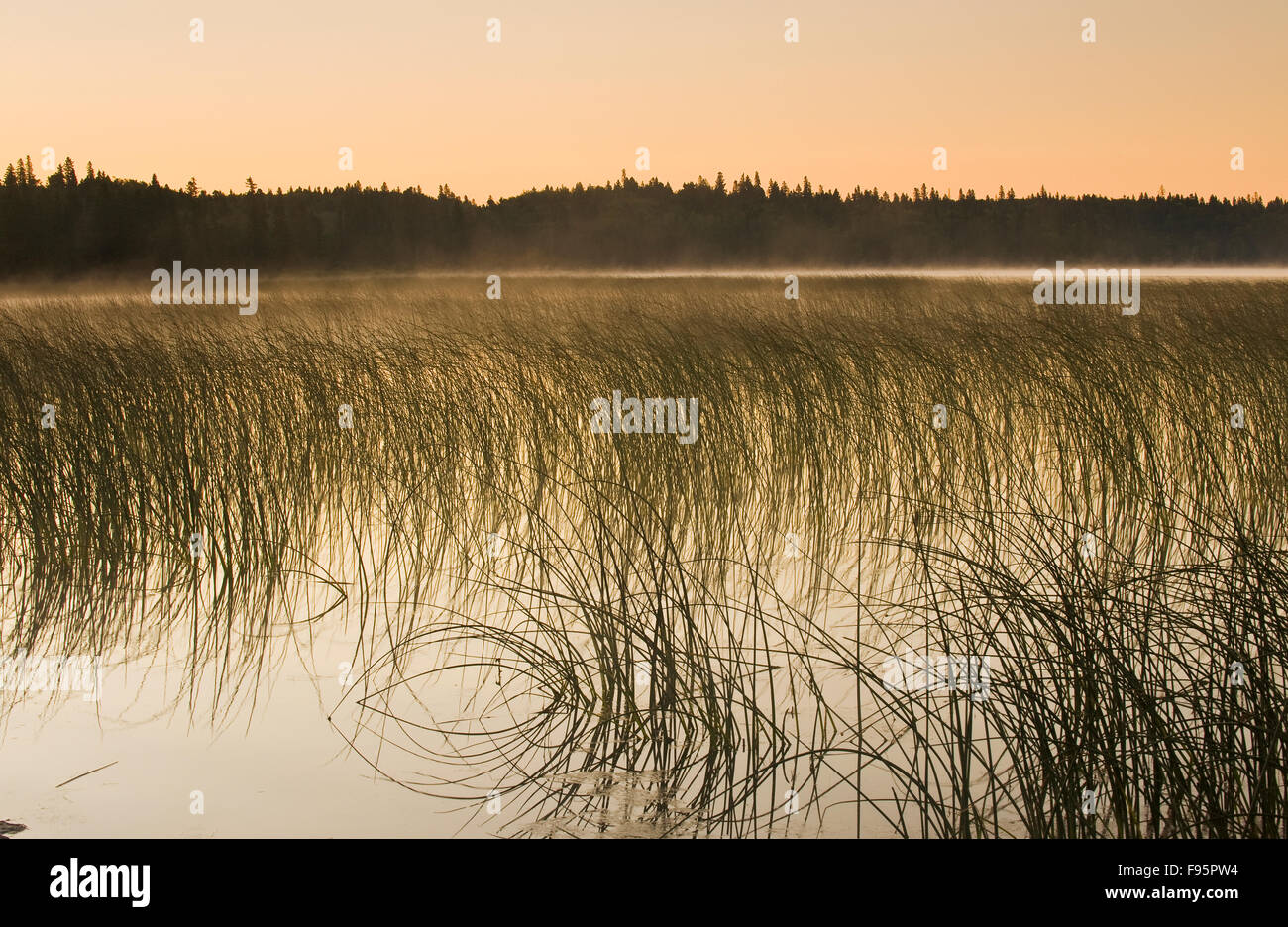Clear Lake , Riding Mountain National Park, Manitoba, Canada Stock