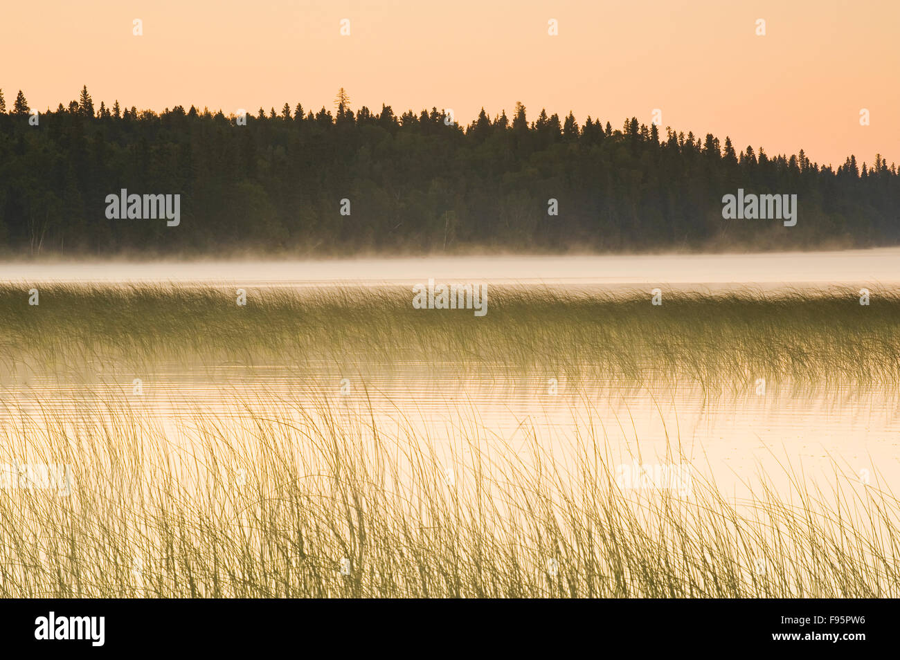 Clear Lake , Riding Mountain National Park, Manitoba, Canada Stock