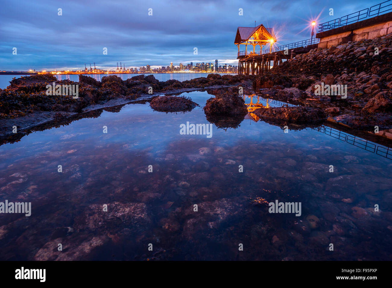 Tide Pool. Waterfront Park, North Vancouver Stock Photo