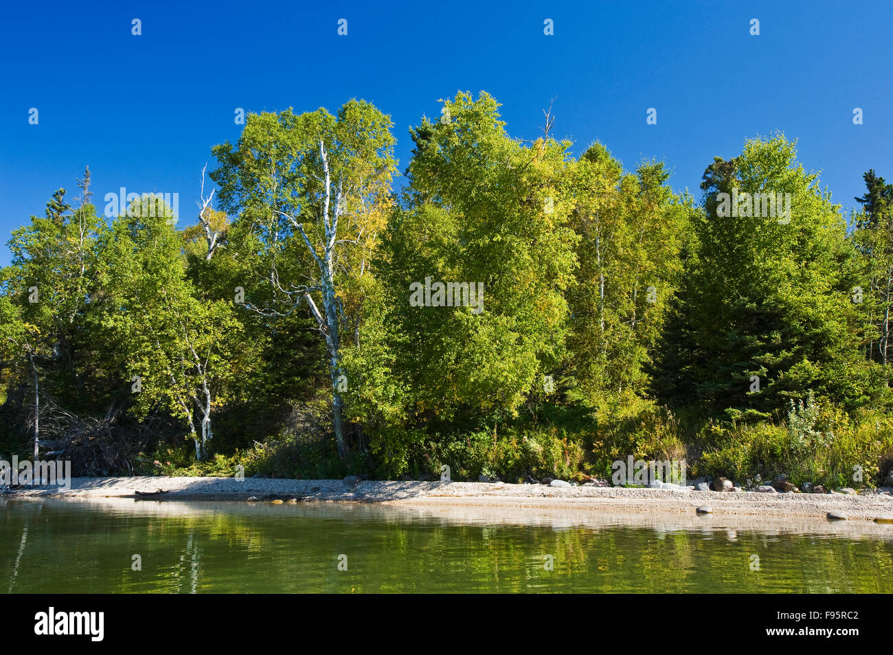 Clear Lake , Riding Mountain National Park, Manitoba, Canada Stock