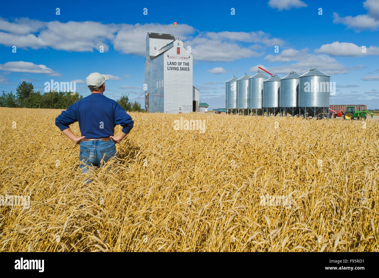grain elevator and farmer in mature wheat field near Domremy