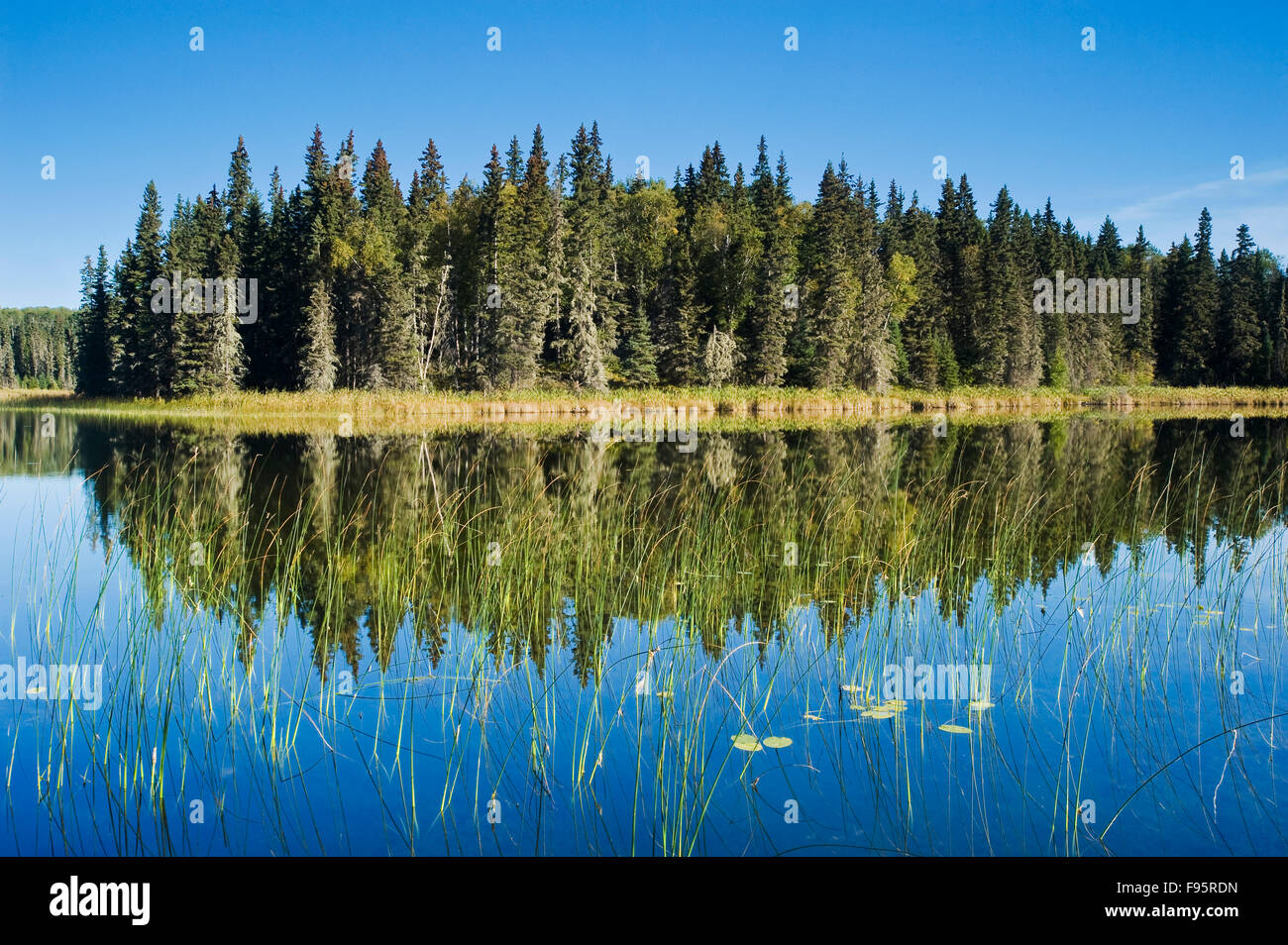 Hanging Heart Lakes, Prince Albert National Park, Saskatchewan, Canada  Stock Photo - Alamy