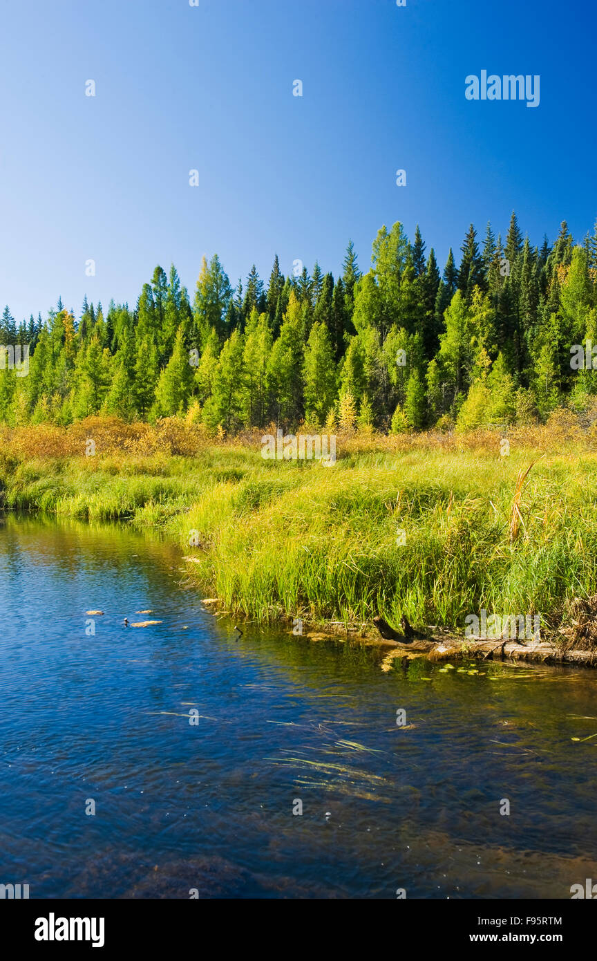 pond, Prince Albert National Park, Saskatchewan, Canada Stock Photo