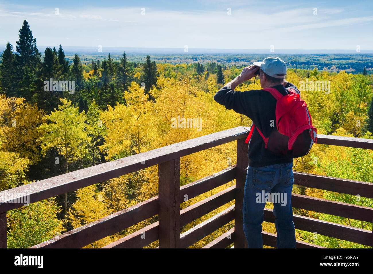 a hiker admires the view from Baldy Mountain, highest point in Manitoba,  Duck Mountain Provincial Park, Manitoba, Canada Stock Photo
