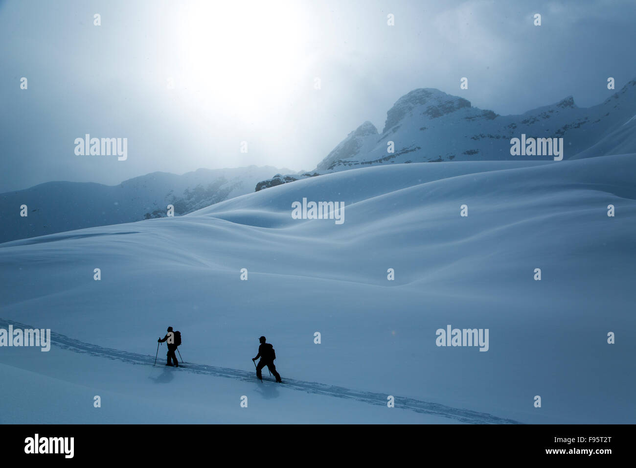 ski touring, backcountry skiing, Rocky Mountains, Icefall Lodge, Golden