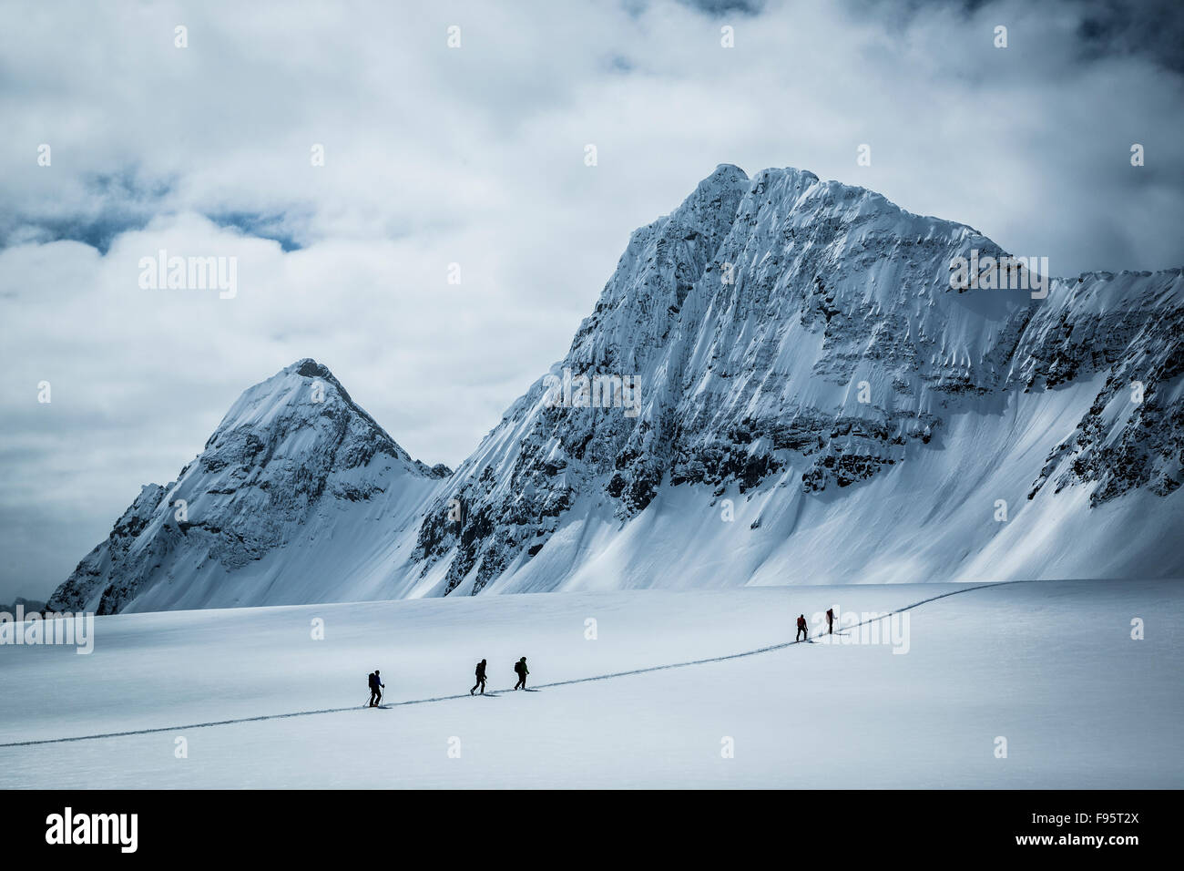 ski touring, backcountry skiing, Rocky Mountains, Icefall Lodge, Golden