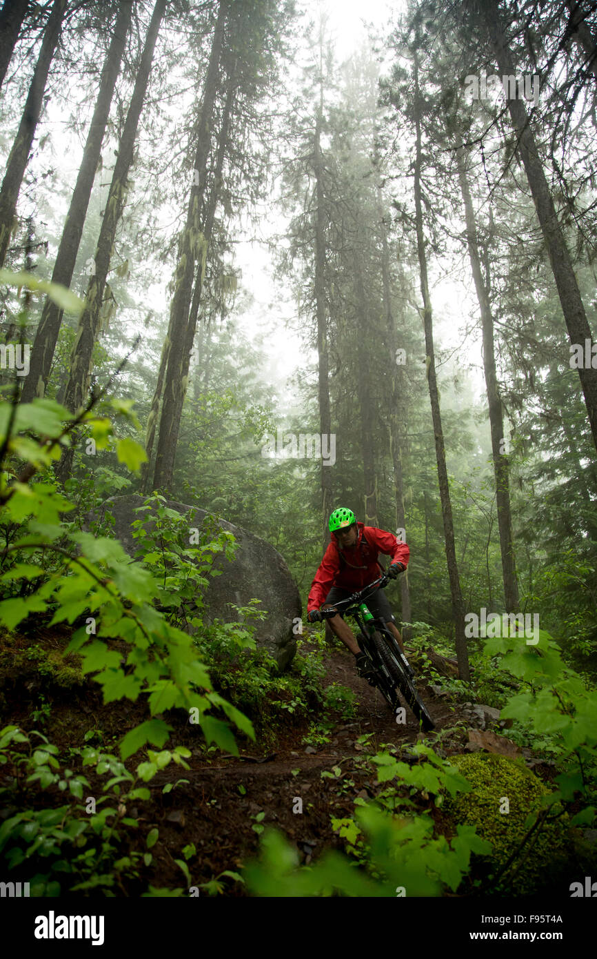 Mountain Biking, Crosscountry biking, forest, fog, Rossland, British Columbia, Canada, Stock Photo