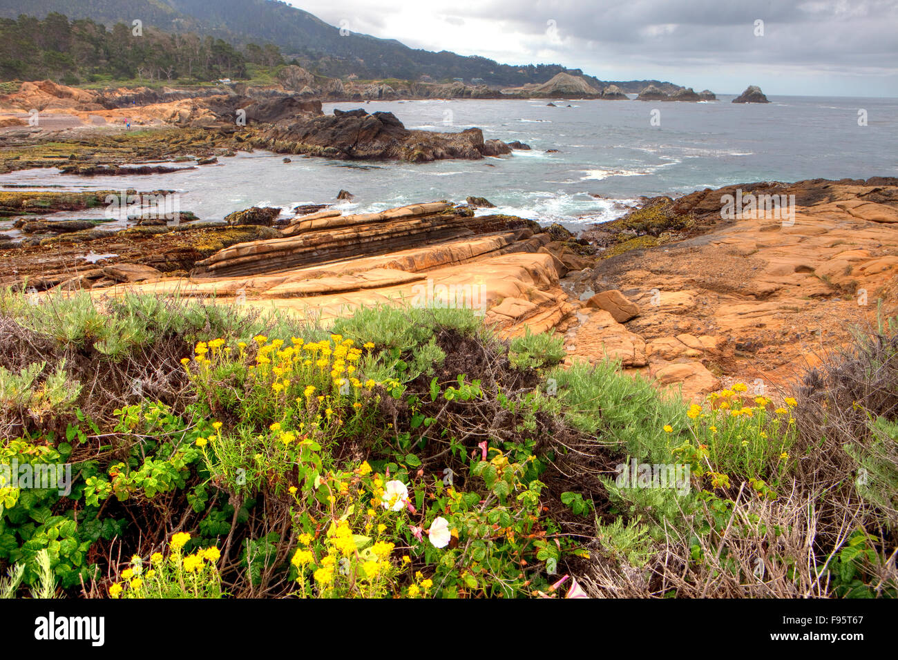 Point Lobos, Big Sur, California, USA Stock Photo