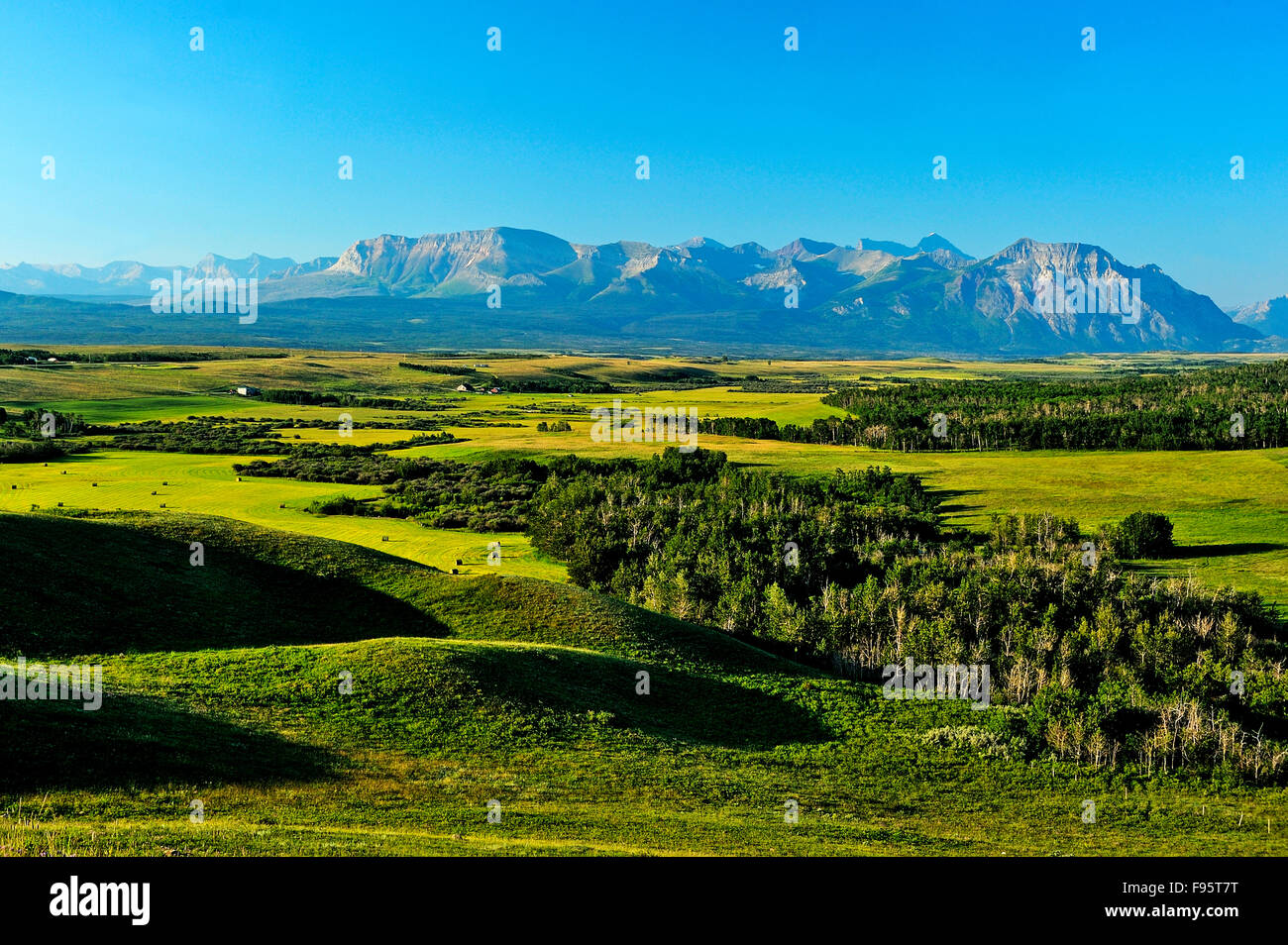 A summer landscape image showing the wide expanding view of Alberta ranchland running up to the base of the Rockey Mountains of Stock Photo