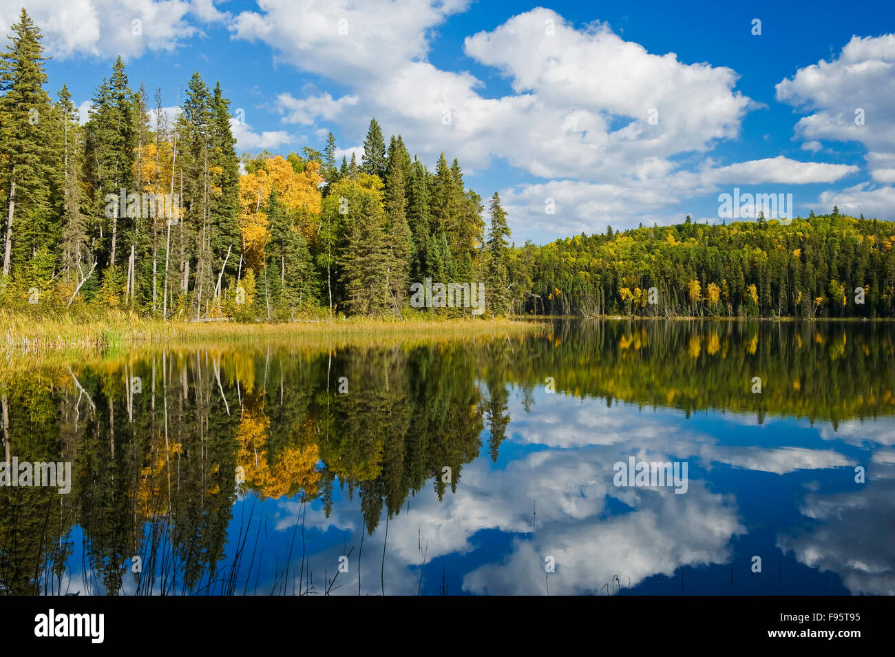autumn, Chain Lakes, Duck Mountain Provincial Park, Manitoba, Canada
