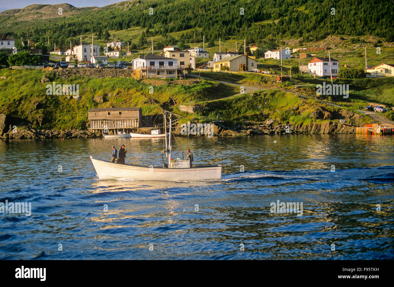 bay bull boats fishing boat bay bulls newfoundland canada stock photo bay bull boats fishing boat bay bulls newfoundland canada stock photo