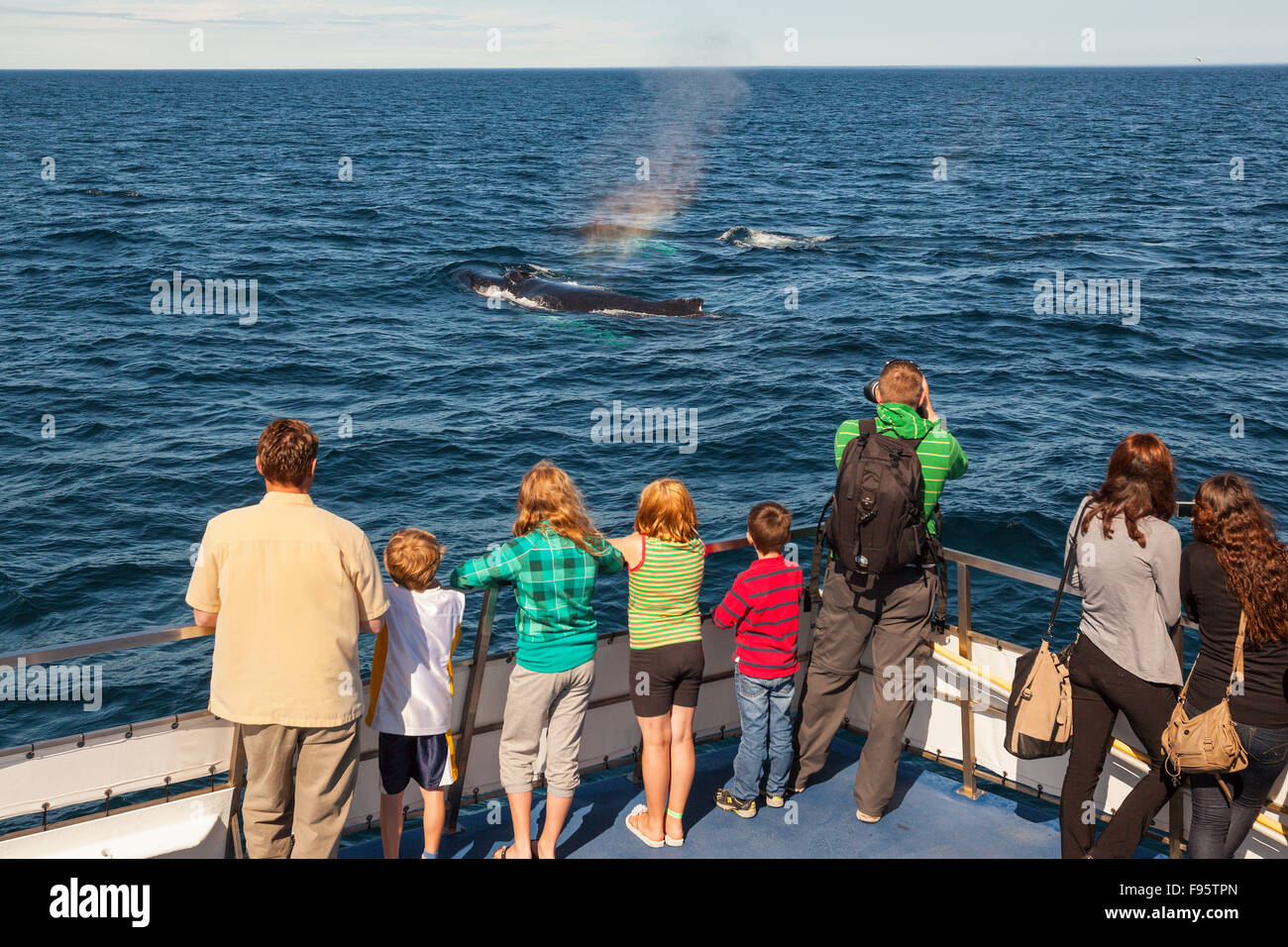 Boys watching whale hi-res stock photography and images - Alamy