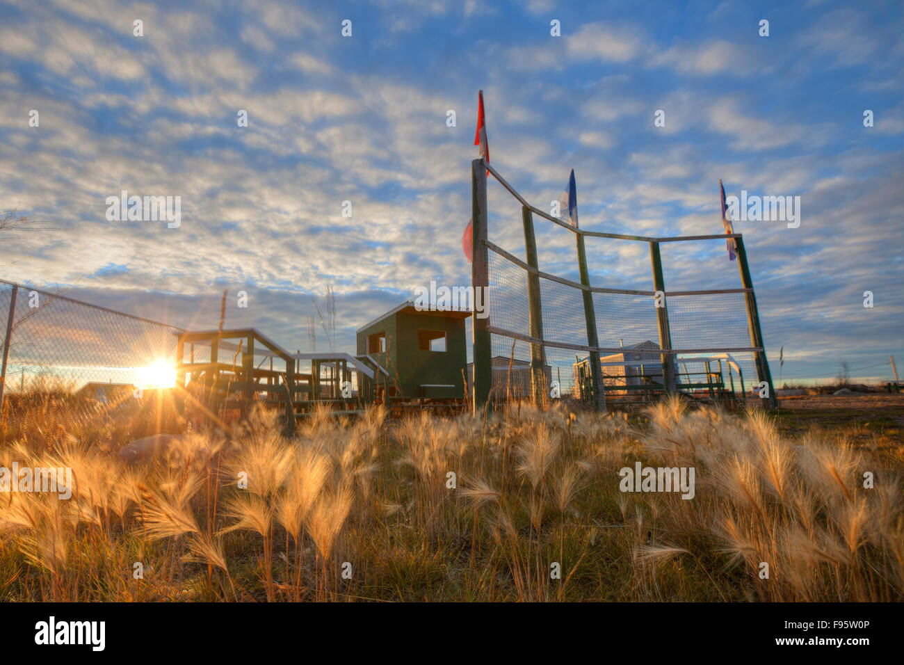 Over grown baseball diamond at sunset deline Stock Photo