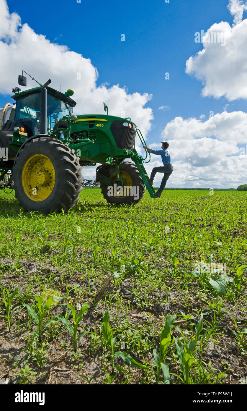 a farmer climbs a high clearance sprayer to give a chemical application of herbicide to early growth corn near Steinbach, Stock Photo