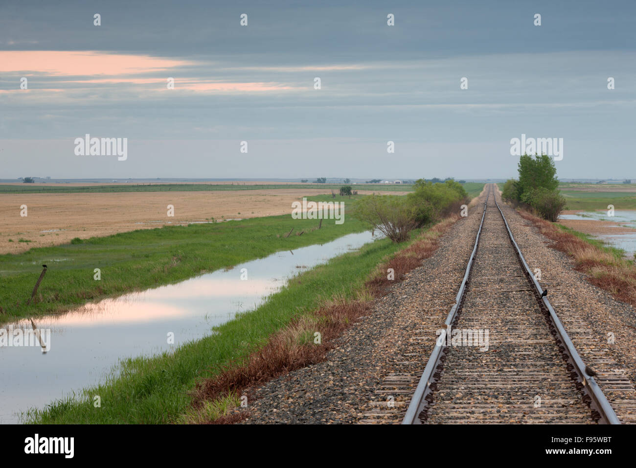 Railroad and cropland near Leader, Saskatchewan, Canada Stock Photo