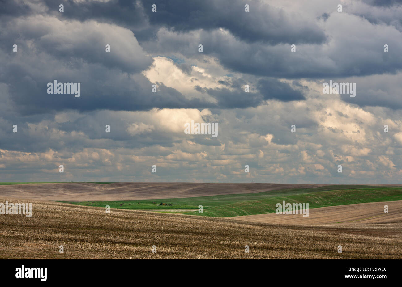 cropland near Lancer, Saskatchewan, Canada Stock Photo