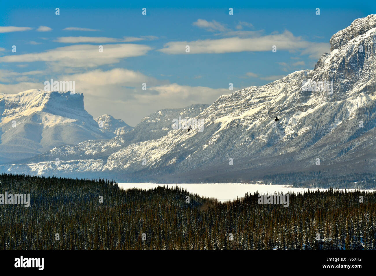 A winter landscape image captured at Brule of the snowcapped rocky mountains of western Alberta, Canada Stock Photo