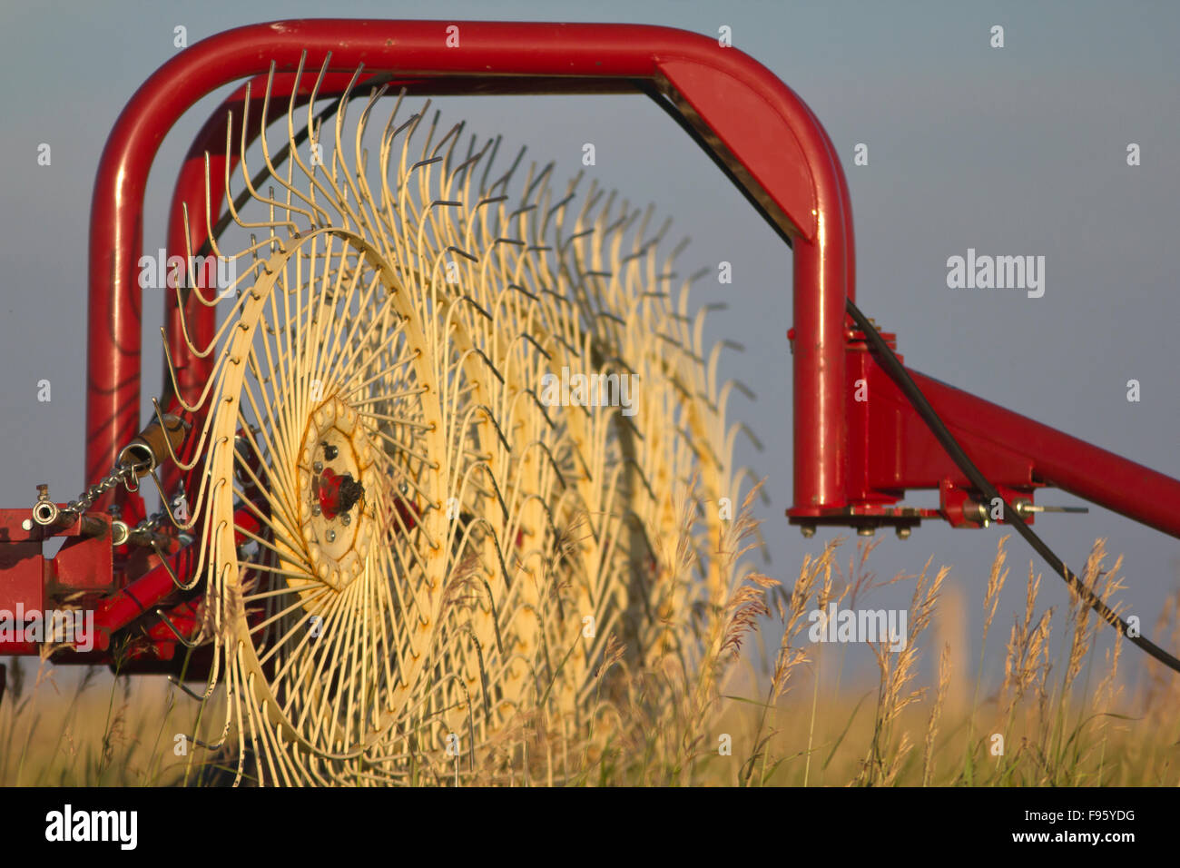 Crop rake Agricultural implement Stock Photo