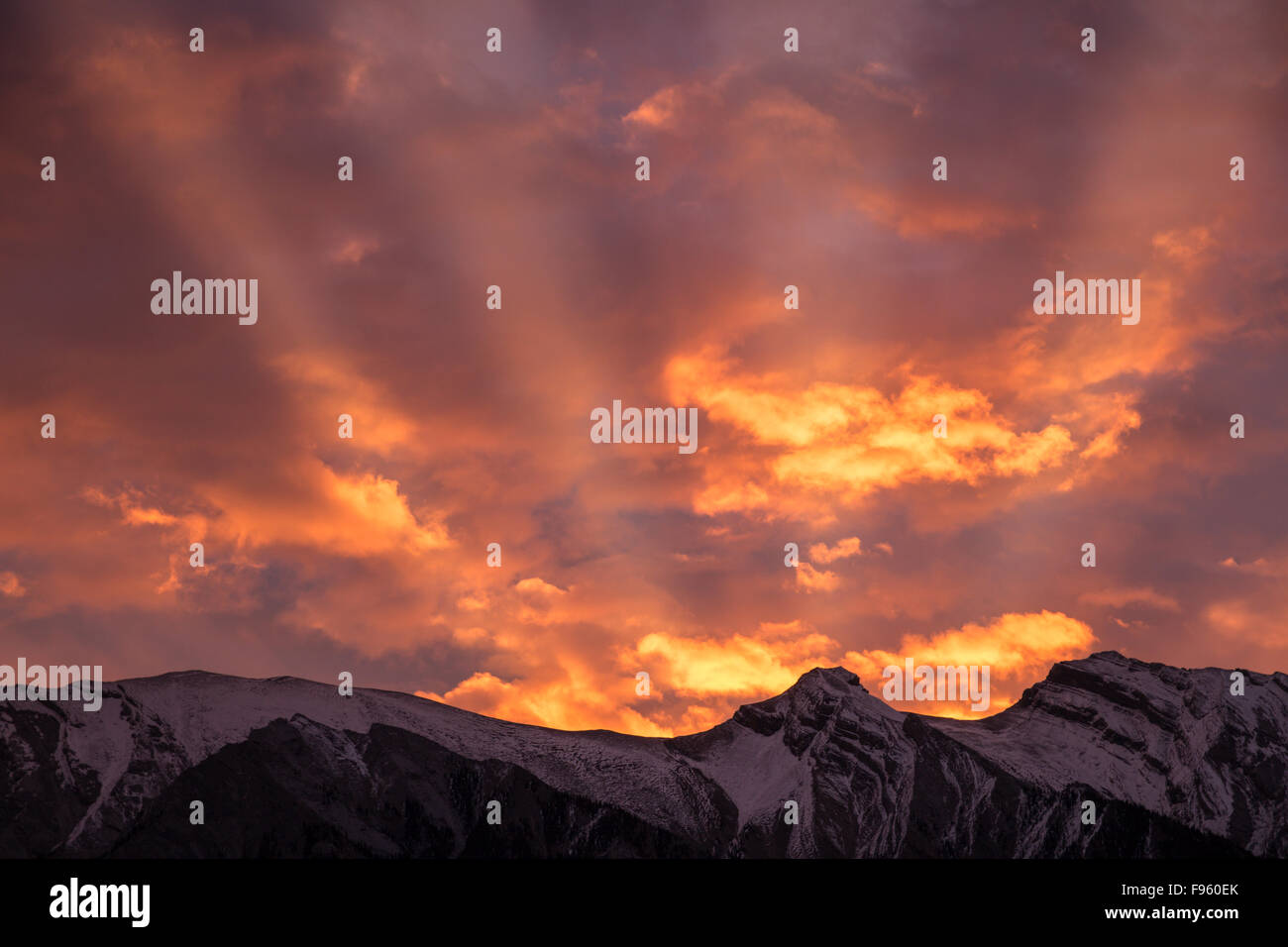 Sunrise over Mount William Booth, Kootenay Plains, Alberta Stock Photo