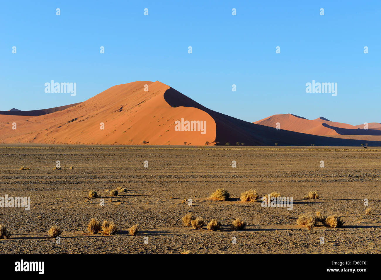 Sand dunes at Sossusvlei, Namib-Naukluft National Park, Namibia Stock Photo