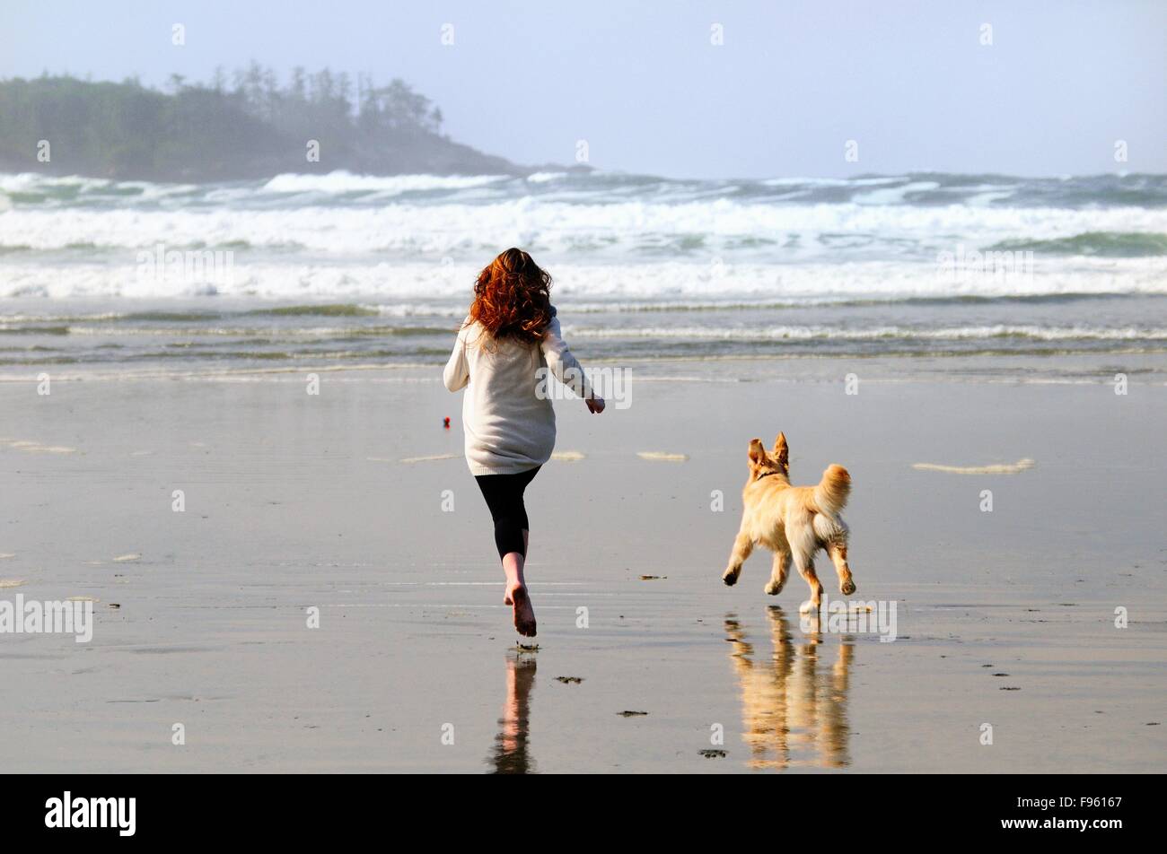 A young woman and her dog (Golden Retriever) run after a ball on Chesterman Beach near Tofino, BC. Stock Photo