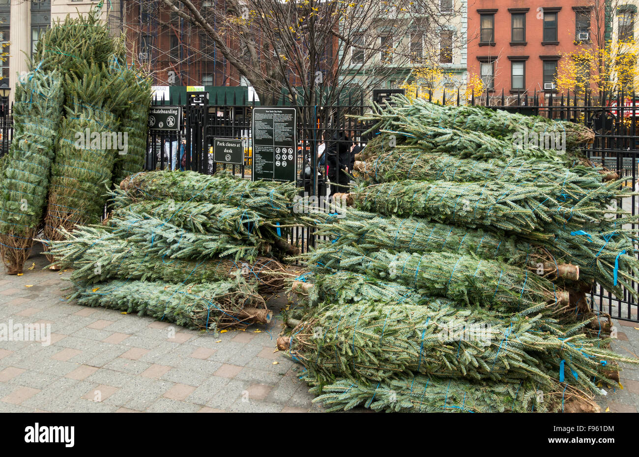 Manhattan christmas tree nyc hires stock photography and images Alamy