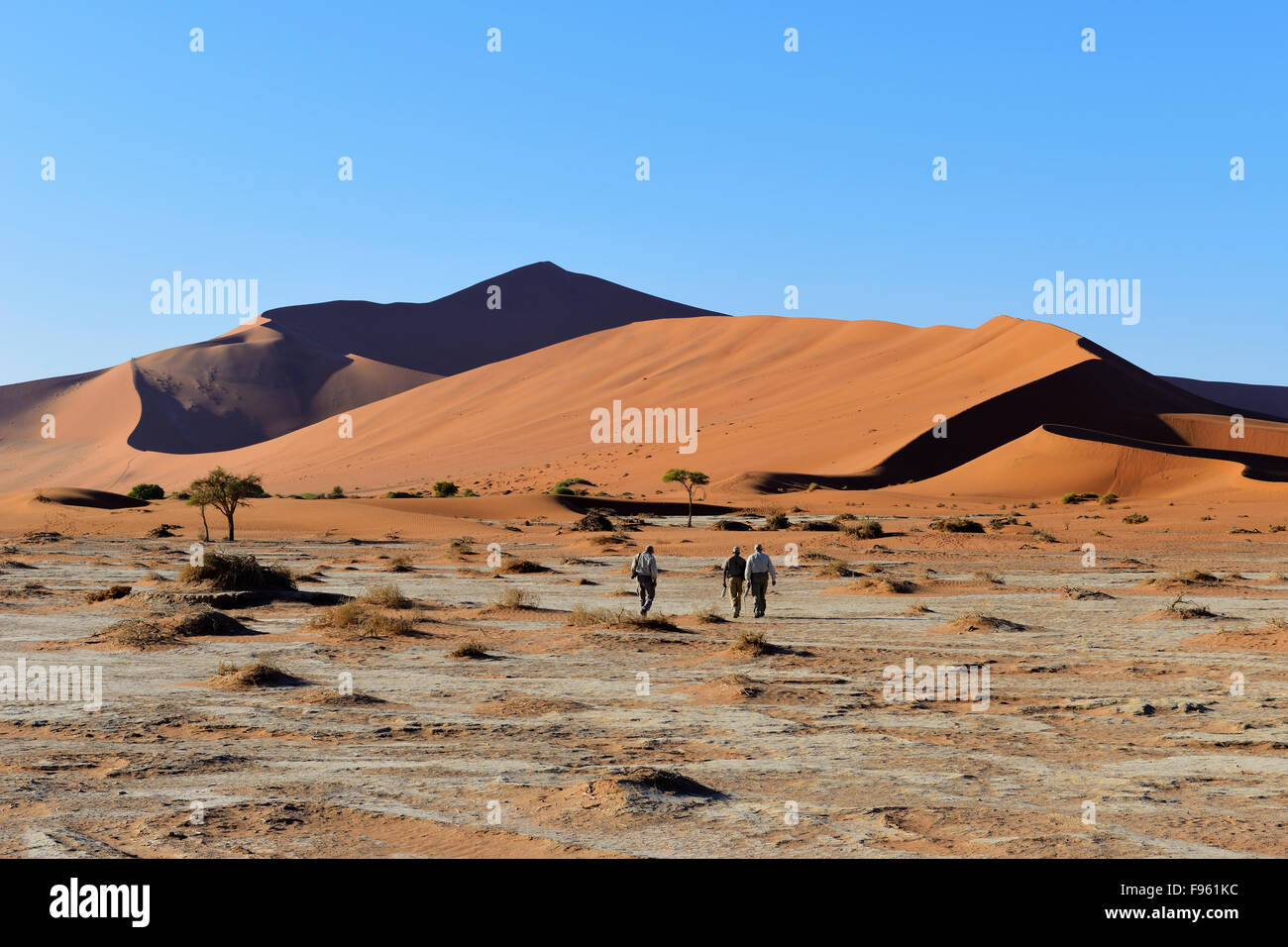 Sand dunes at Sossusvlei, Namib-Naukluft National Park, Namibia Stock ...