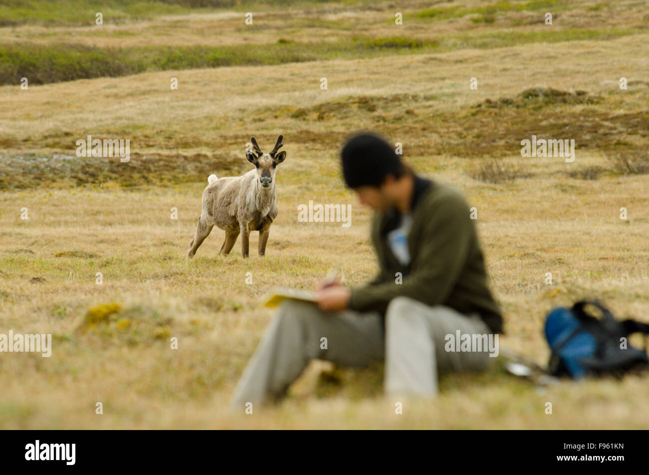 Scientist fieldwork canada hires stock photography and images Alamy