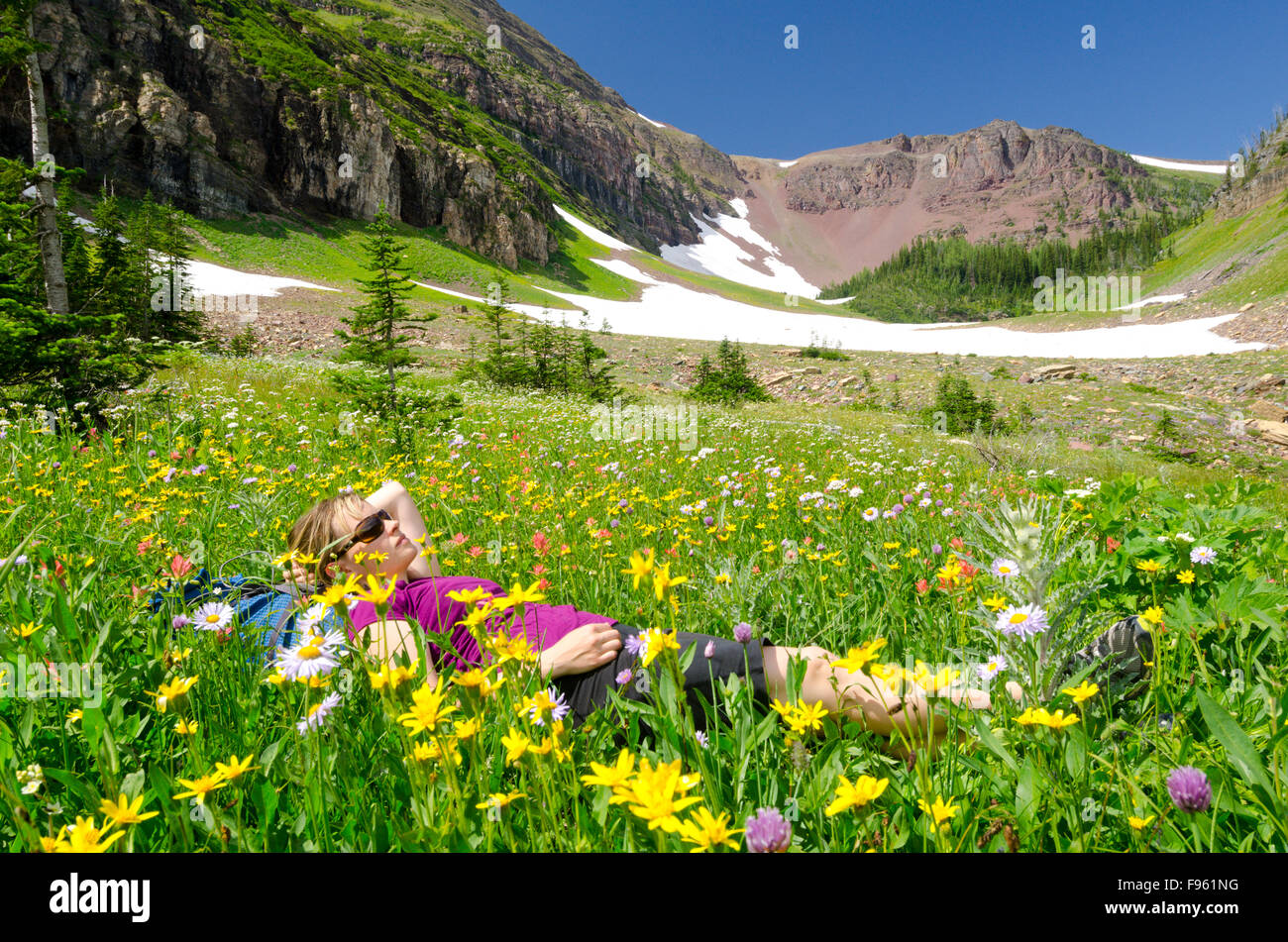 A young woman taking a break in some meadows at Akamina Kishinena Provincial Park Stock Photo