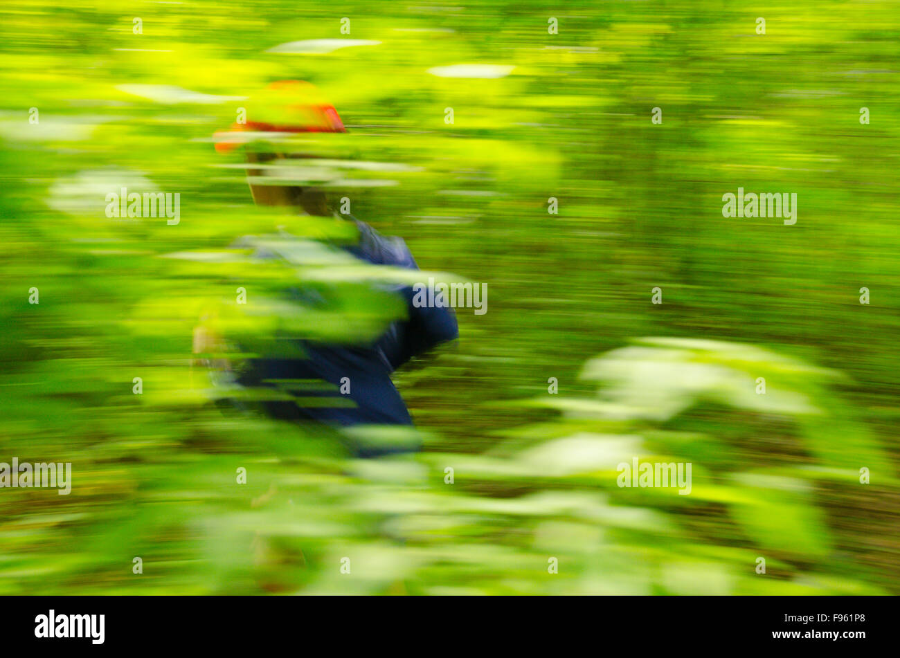 A female jogger floats through the forest in High Park, Toronto, Ontario Stock Photo