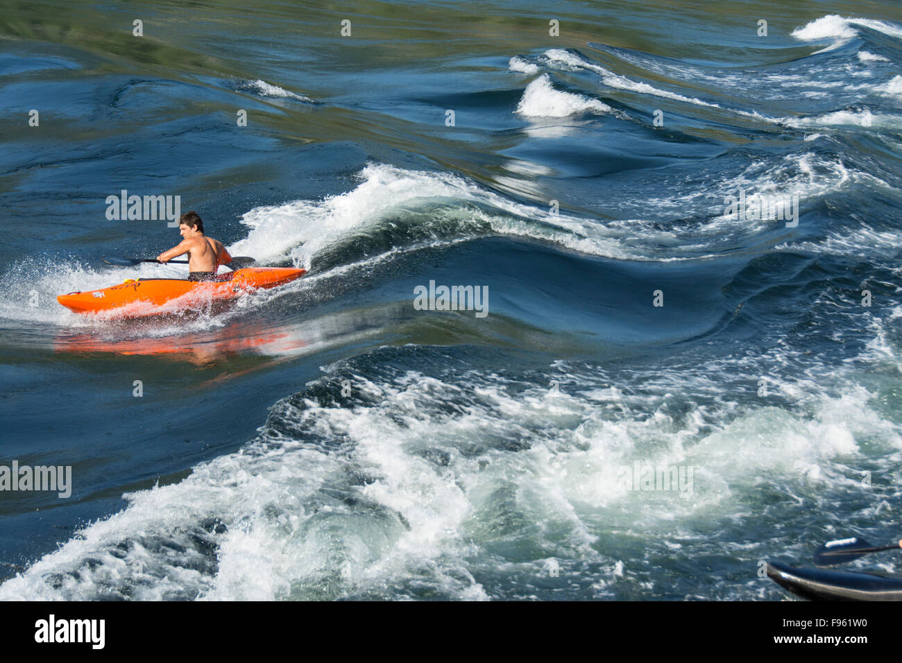 Whitewater kayakers on flood tide at Skookumchuck Narrows, Sechelt