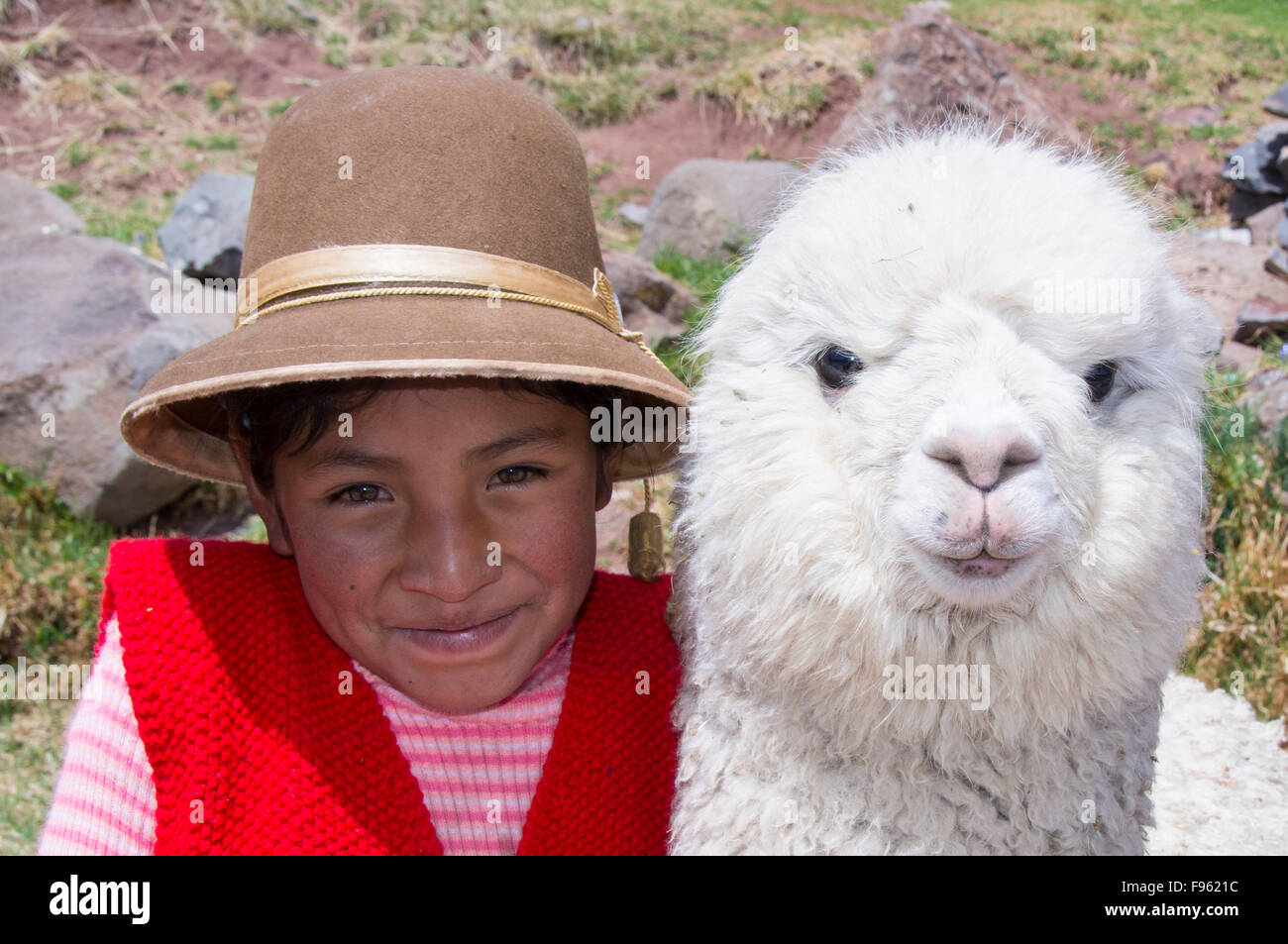 Quechua girl with llama hi-res stock photography and images - Alamy