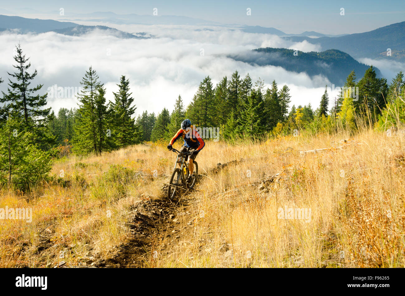 A male mountain biker rides high on the Red Top trail at Red Mountain Resort, in the Rossland Range near Rossland, British Stock Photo