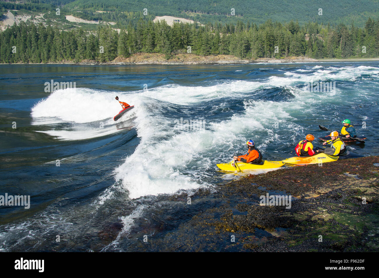 Whitewater kayakers on flood tide at Skookumchuck Narrows, Sechelt