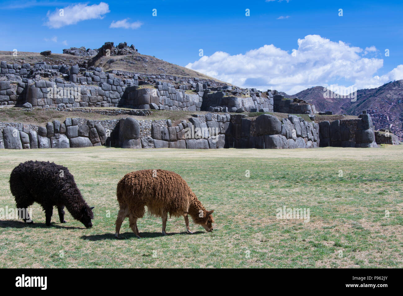 Llama peru two people hi-res stock photography and images - Alamy
