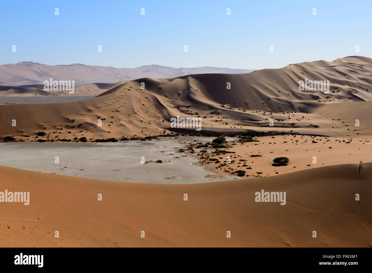 Sand dunes at Sossusvlei, Namib-Naukluft National Park, Namibia Stock ...