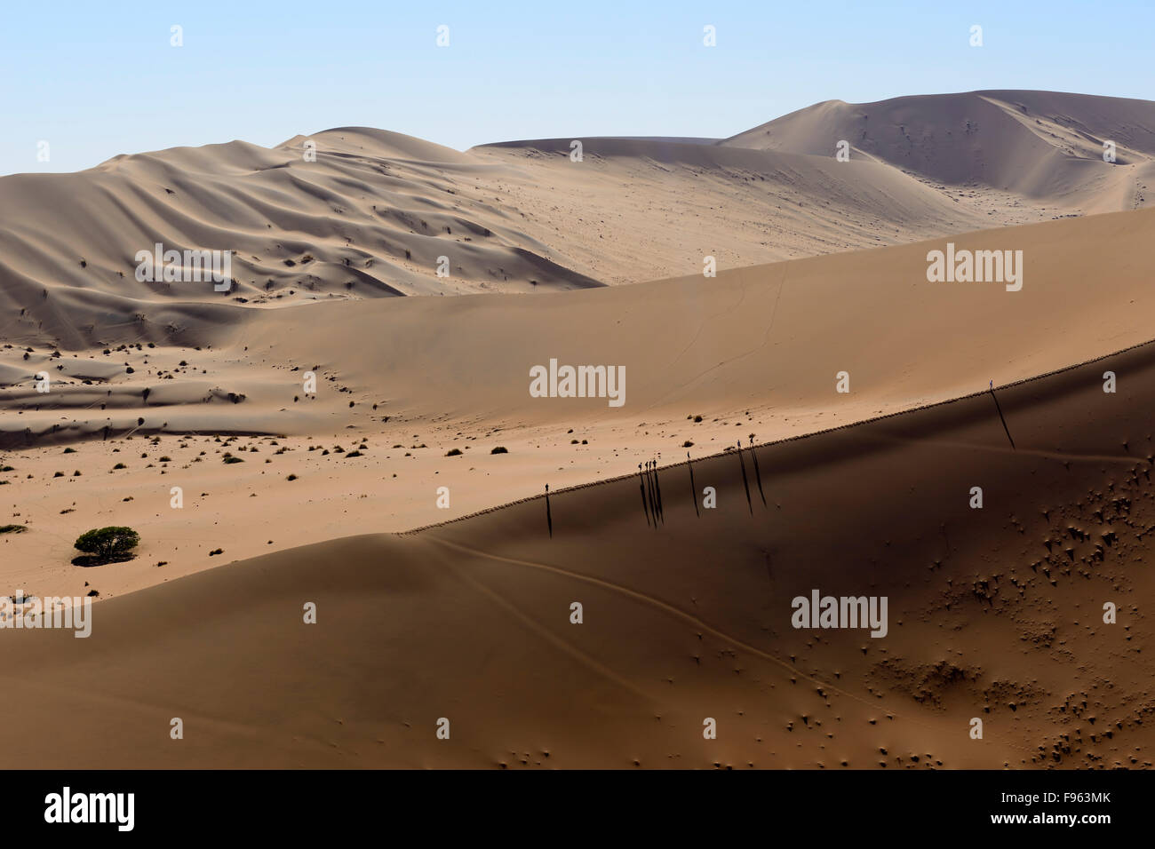 Sand dunes at Sossusvlei, Namib-Naukluft National Park, Namibia Stock ...