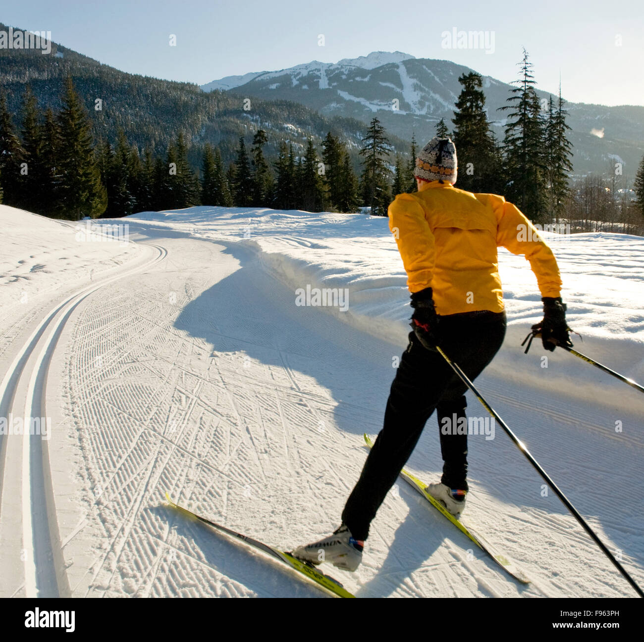 Lee harrison hires stock photography and images Alamy