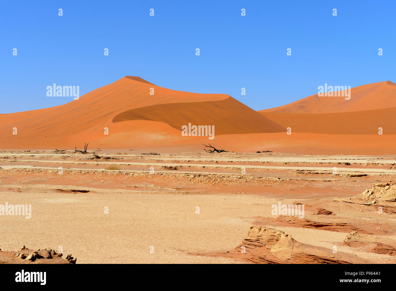 Sand dunes at Sossusvlei, Namib-Naukluft National Park, Namibia Stock ...