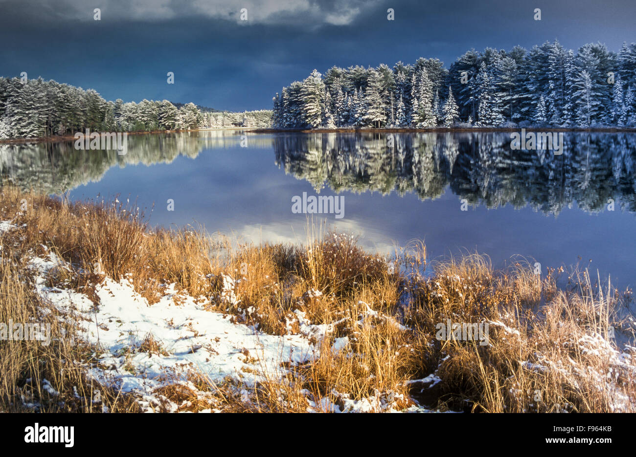 Snow covered trees reflected in Mew Lake, Algonquin Provincial Park, Ontario, Canada Stock Photo